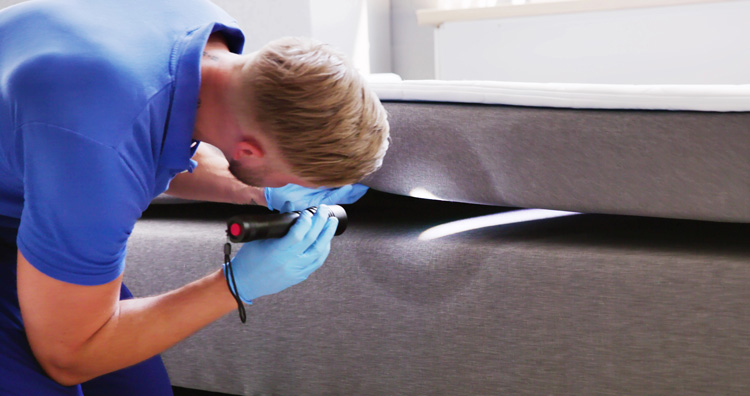 Our pest control process